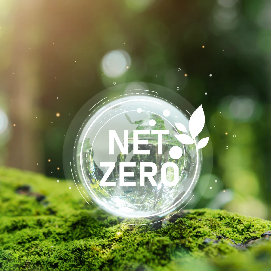 A glass sphere with the words "Net Zero" and a leaf icon sits on moss in a sunlit, blurred forest background.